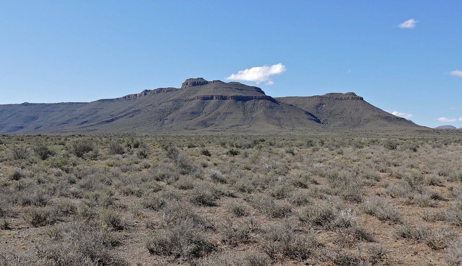 Wide view of the Karoo under an open sky