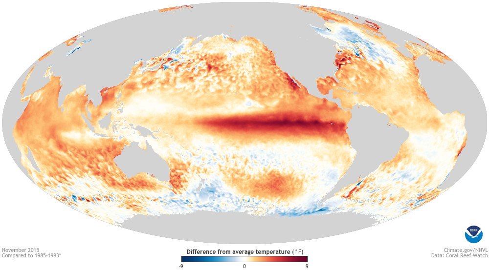 World map of sea temperatures in November 2015 with a dark red band of hot water across the equatorial Pacific